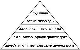 מי הקהל העיקרי של המוצר שלנו?